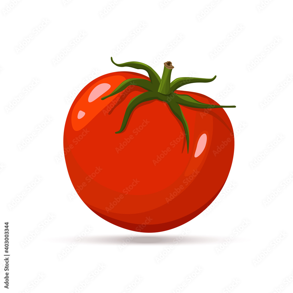 Red Tomato. Fresh Vegetable isolated on white background. Tomato Icon for Market, Recipe Design. Organic Food. Cartoon Flat Style. Vector illustration for Your Design, Web. Red Tomato. Fresh Vegetable isolated on white background. Tomato Icon for Market, Recipe Design. Organic Food. Cartoon Flat Style. Vector illustration for Your Design, Web.