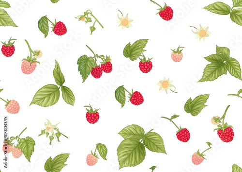 Fototapeta Naklejka Na Ścianę i Meble -  Raspberry. Ripe berries on branch. Seamless pattern, background. Graphic drawing, engraving style. Vector illustration