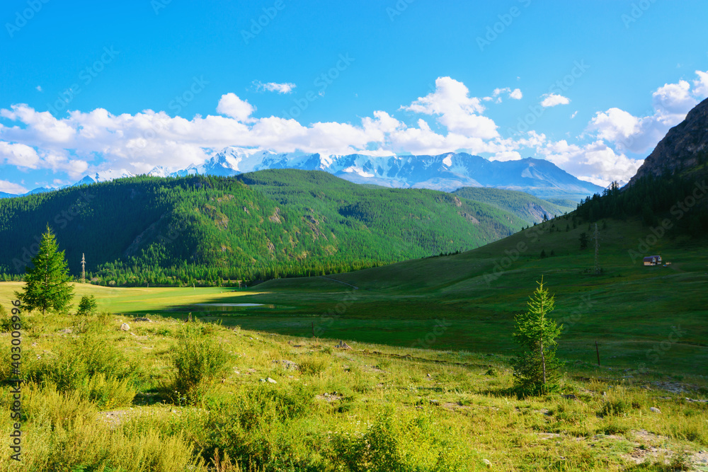 Beautiful landscape of the Altai mountains. Tourism and travel concept.