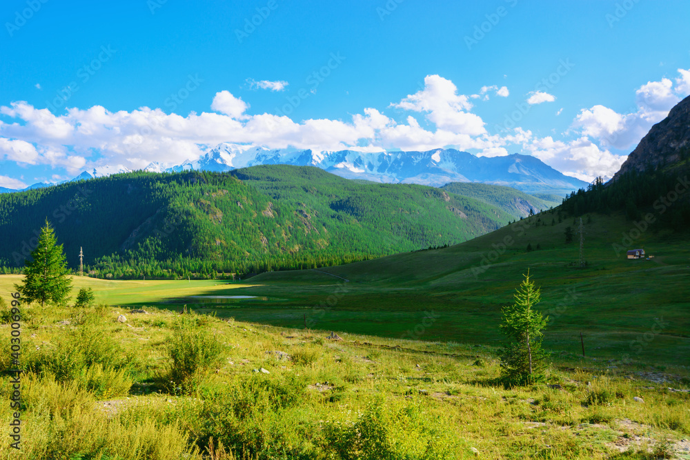 Obraz premium Beautiful landscape of the Altai mountains. Tourism and travel concept.