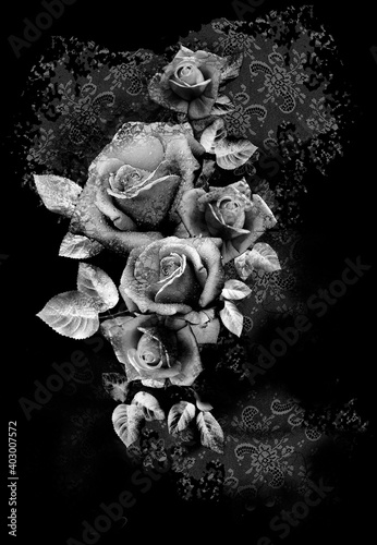 black and white roses with lace textured background 