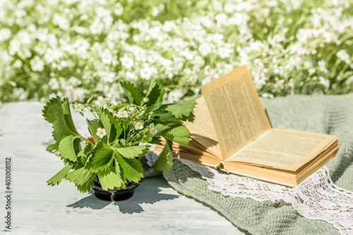 Open vintage book, blue forget-me-not flowers on wooden table, cozy morning in the village, sunny summer, holidays. Book of Batanica photo