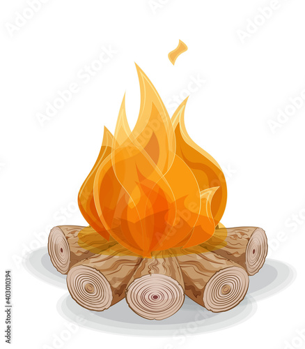 vector fire on firewood