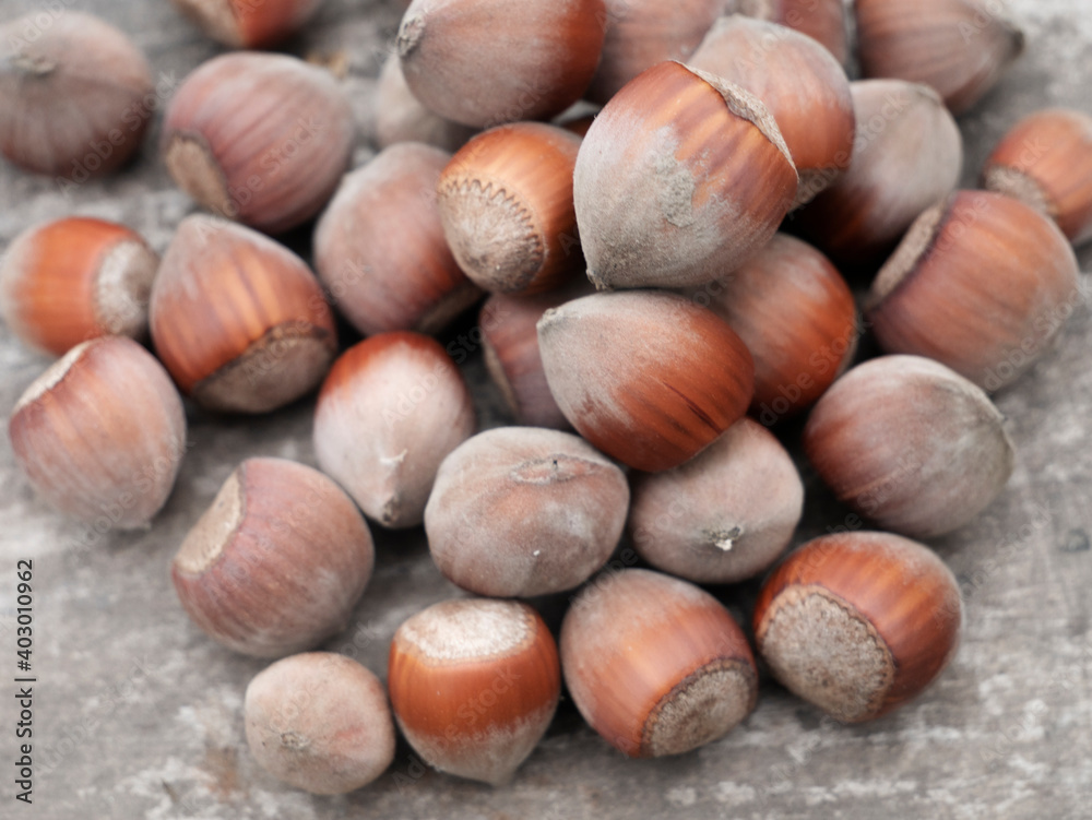 Hazelnut nut on wooden background