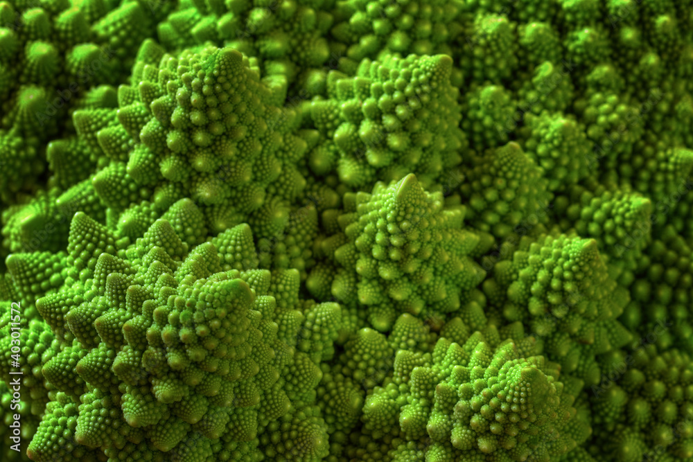 Natural fractal from romanesco cauliflower. Green background. Natural fractal from romanesco cauliflower. Green background.