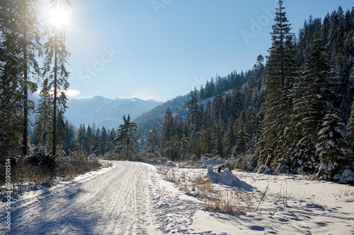 beautiful Chocholowska valley in winter, Tatra Mountains, Zakopane, Poland