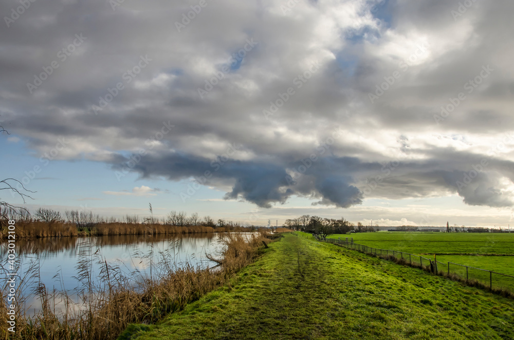 Obraz premium Muddy hiking trail on a grassy dike aling a reeds-lined canal under a dramatic sky on a winter day in vlietlanden nature reserve near Schipluiden, The Netherlands