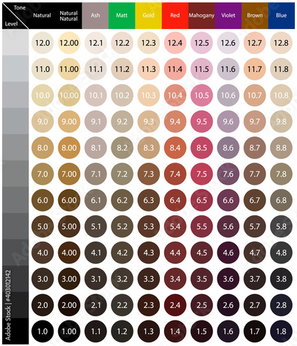 Stock vector palette with hair colour numbering system. Quality image for your project
