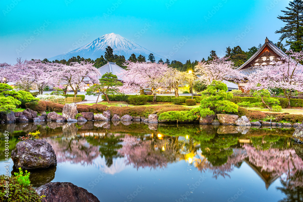 Fujinomiya, Shizuoka, Japan with Mt. Fuji and temples in spring season.