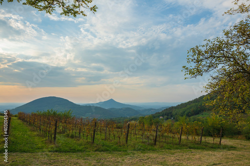Erste, Italy. View of the valley with vineyards. Mountains in the background. Beautiful dawn in autumn in Italy. Soft focus and blurry background.