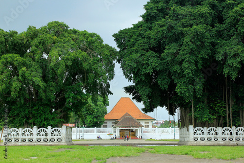 фотографія Two old banyan trees in Alun-alun Selatan which have historical value related to the existence of the Yogyakarta Palace are growing in abundance