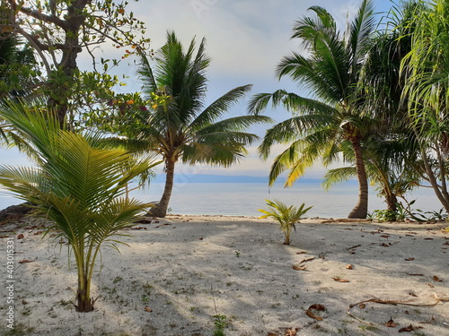 Palm Trees on the Beach. Sea View.