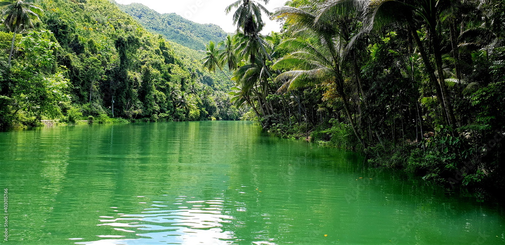Obraz premium River in the Middle of Jungle.