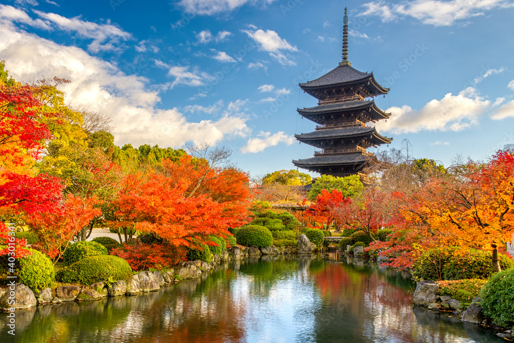 Fototapeta premium Kyoto Japan Pagoda