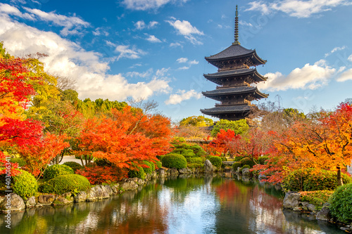 Fotografie, Obraz Kyoto Japan Pagoda