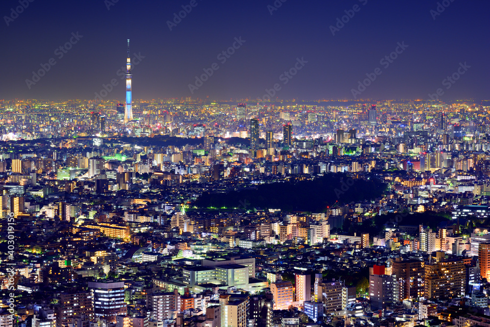 Fototapeta premium Tokyo Cityscape