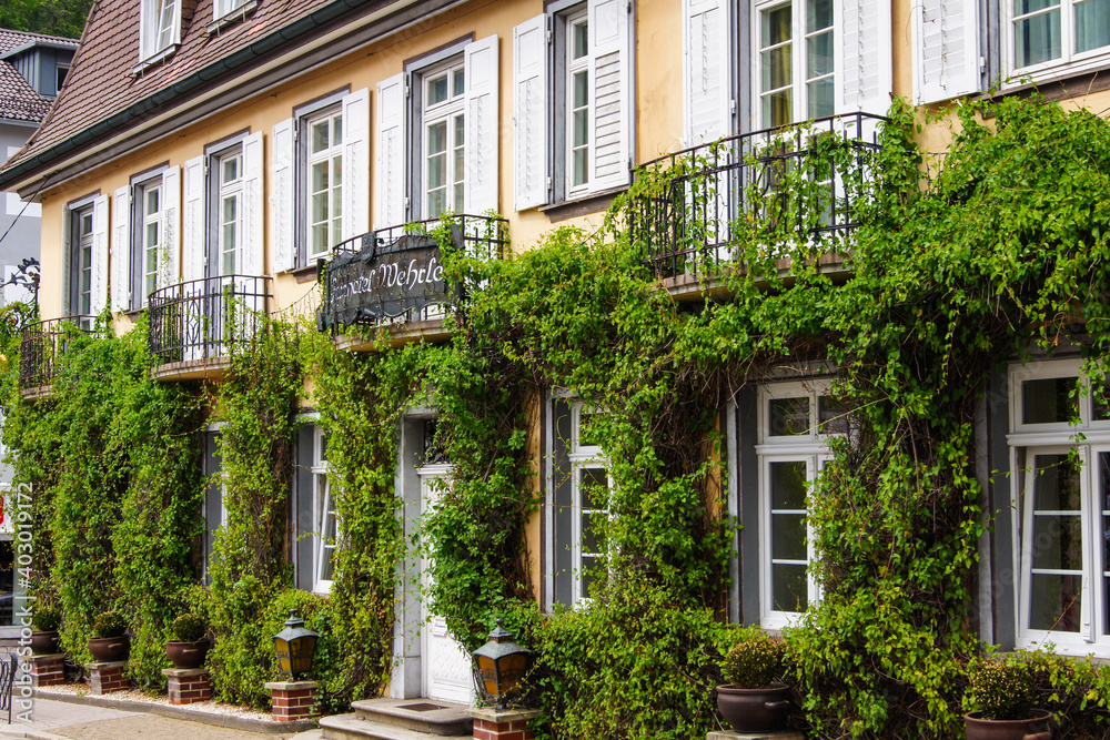 Fototapeta premium Scenic view of the green facade of the 