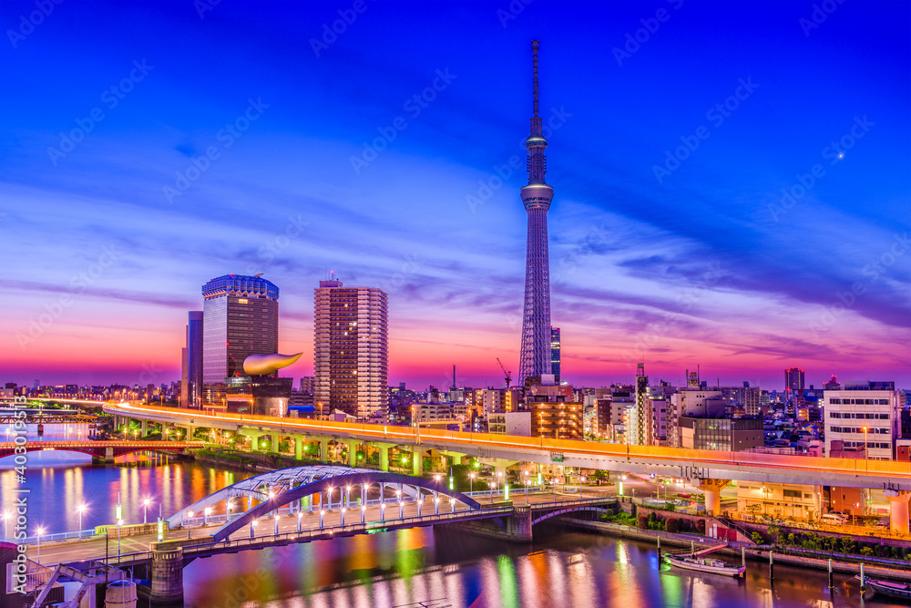 Tokyo, Japan City Skyline Tokyo, Japan City Skyline