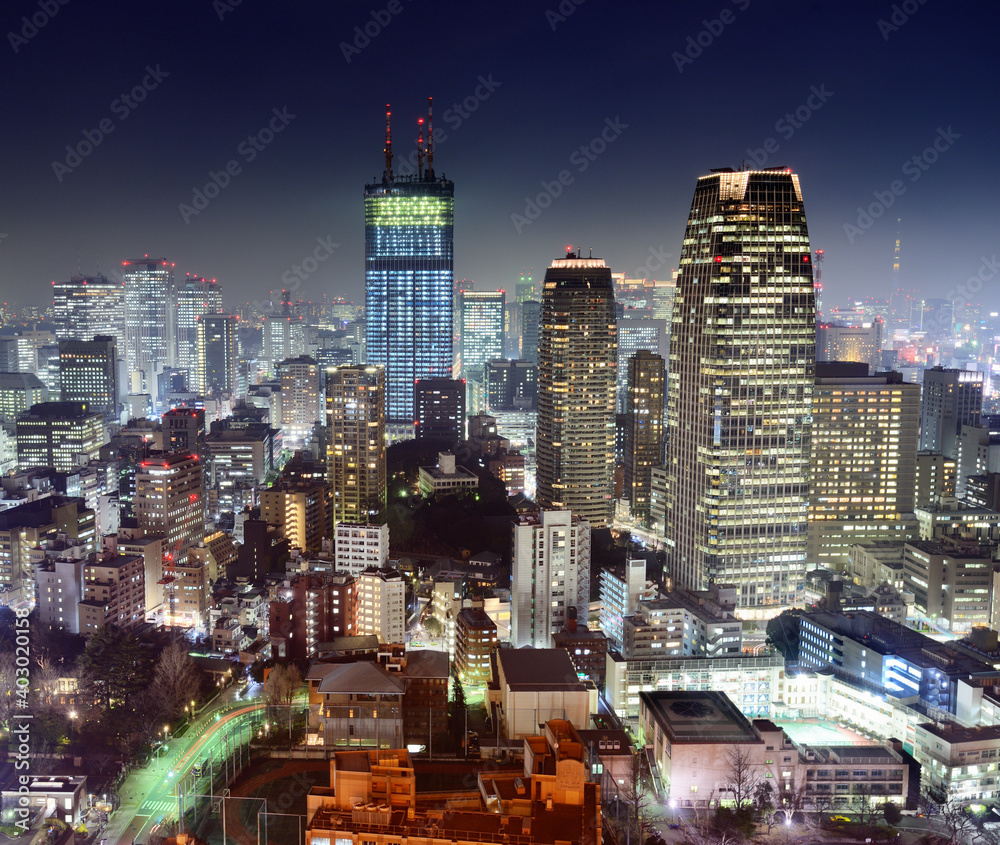 Fototapeta premium Tokyo