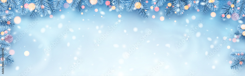 Naklejka premium Frosted blue spruce branches border.