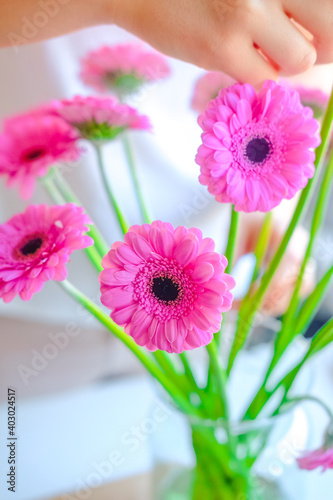 hands holding pink flowers