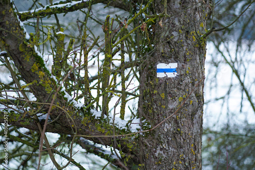 Hiking marker on a tree