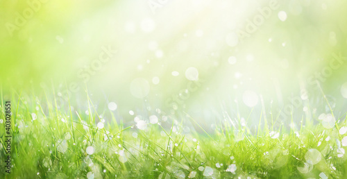 Juicy lush green grass on meadow with drops of water dew sparkle in morning light, spring summer outdoors close-up, copy space, wide format. Beautiful artistic image of purity and freshness of nature.