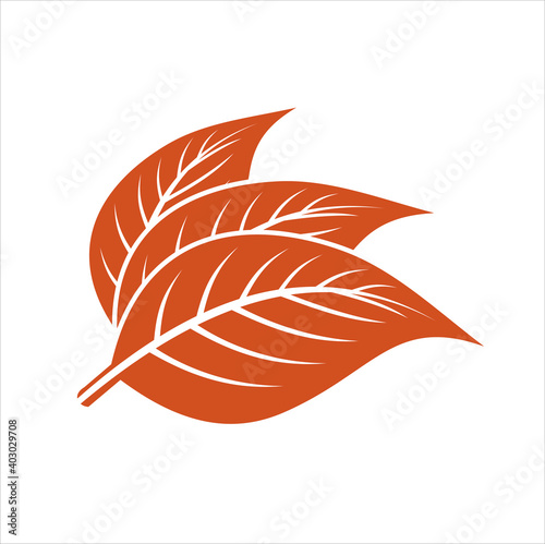 tobacco leaf icon, vector art.