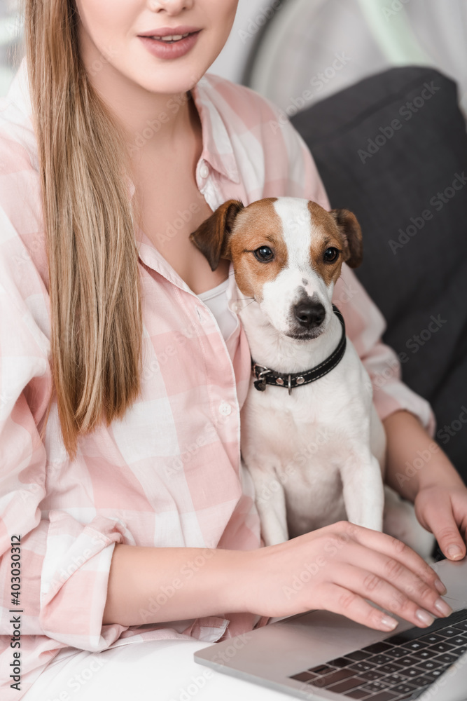 cropped view of woman sitting on couch with jack russell terrier and using laptop
