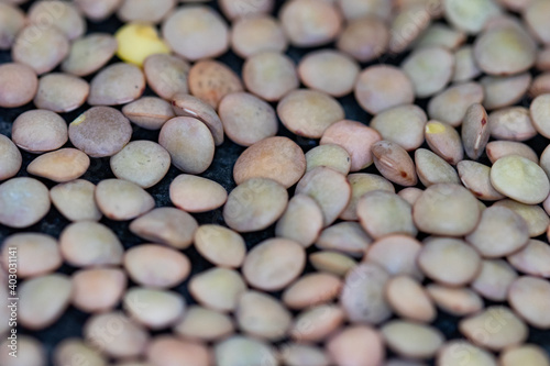 Macro of lentils. Traditional italian food lentis details photo