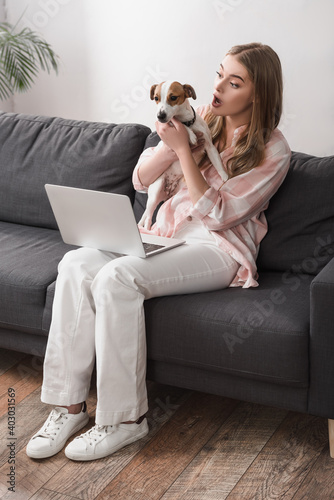 surprised woman holding in arms jack russell terrier while sitting on sofa with laptop