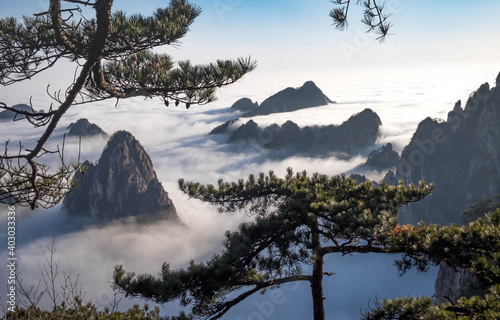 View of the clouds and the pine tree at the mountain peaks of Huangshan National park, China. Landscape of Mount Huangshan of the winter season. photo
