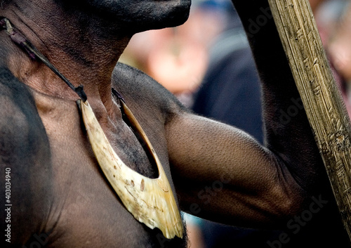 Chimbu tribe man with a shell decoration during a Sing-sing ceremony, Western Highlands Province, Mount Hagen, Papua New Guinea photo