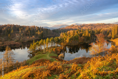 Golden evening light at the iconic Tarn Hows in the Lake District in late autumn