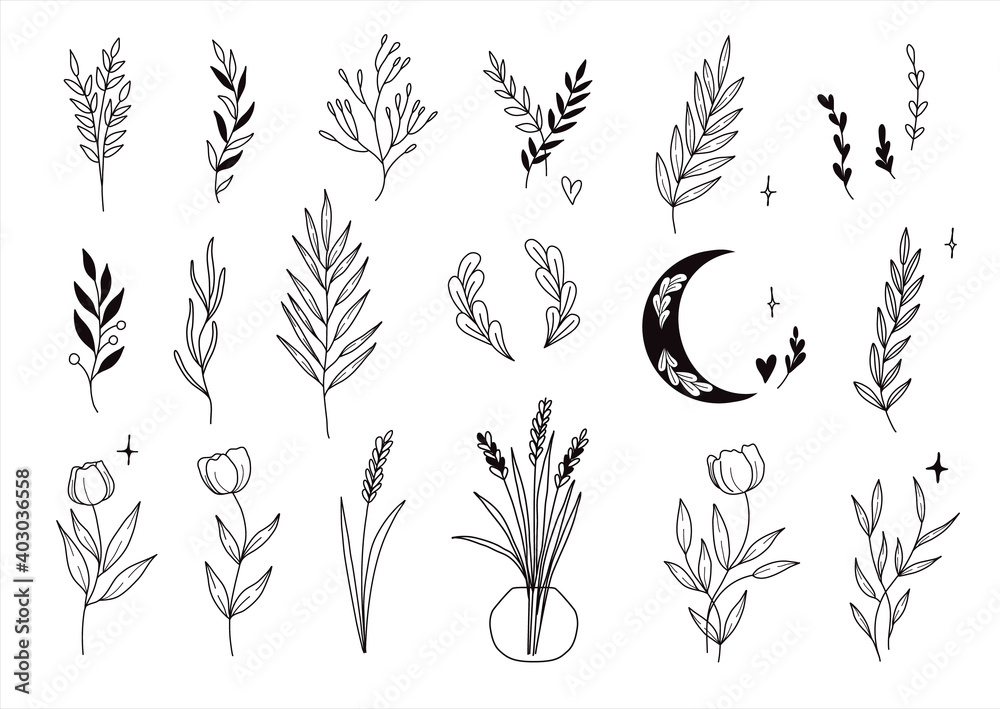 Fototapeta premium Set of cute trendy mystical style hand drawn flowers, branches, leaves. Vector line arrangements for instagram stories highlights, greeting card or invitation amd logo design