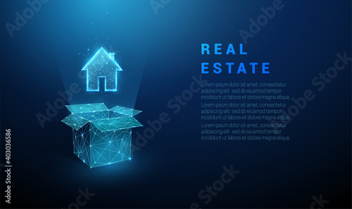 Abstract blue open box and house icon