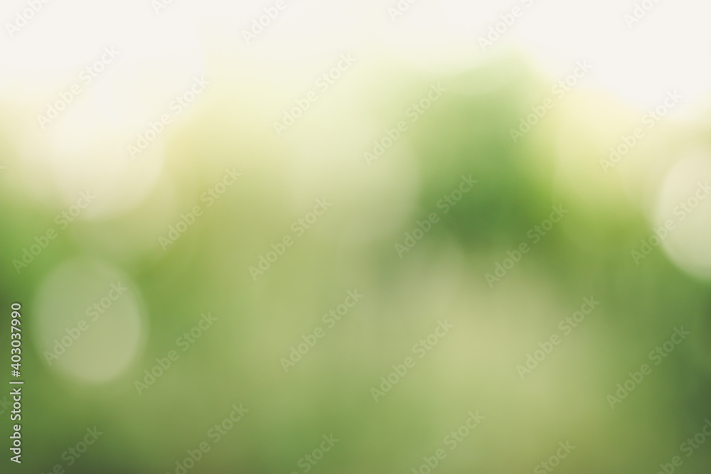 Sunny abstract green nature background, Blur park with bokeh light , nature, garden, spring and summer season