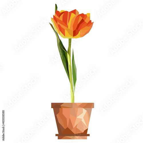  Illustration of Freesia flower in a  pot with low poly design vector. Gradient, polygonal.