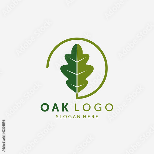 Emblem of Oak Leaf Logo Vector Design Vintage Illustration  Healthy Logo  Acupuncture Spa Logo Vintage