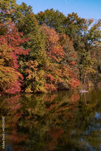 Central Park with Colorful Trees during Autumn along the Lake in New York City