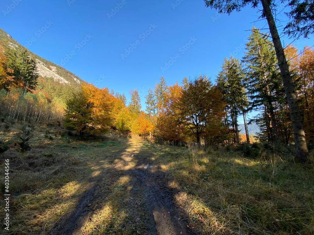 Wanderweg auf dem Heuberg zum Kloster Benediktiner Abtei St. Georgenberg in der Nähe von Schwaz Vomp Fiecht Stans Tirol Österreich im Herbst Wanderweg auf dem Heuberg zum Kloster Benediktiner Abtei St. Georgenberg in der Nähe von Schwaz Vomp Fiecht Stans Tirol Österreich im Herbst