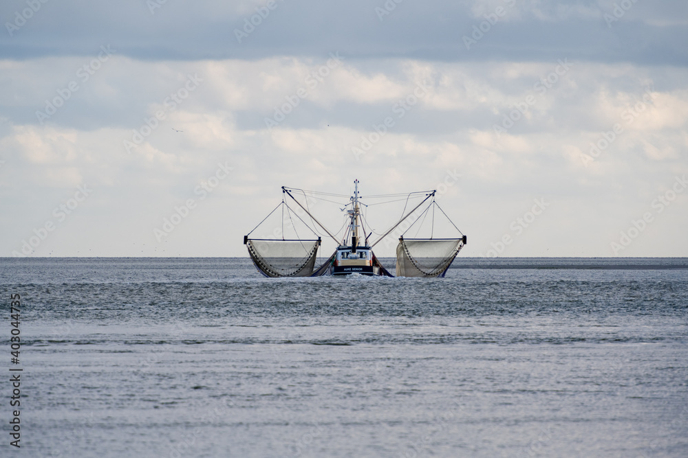 Shrimp fisher on Wadden-sea at Northsea in Netherlands