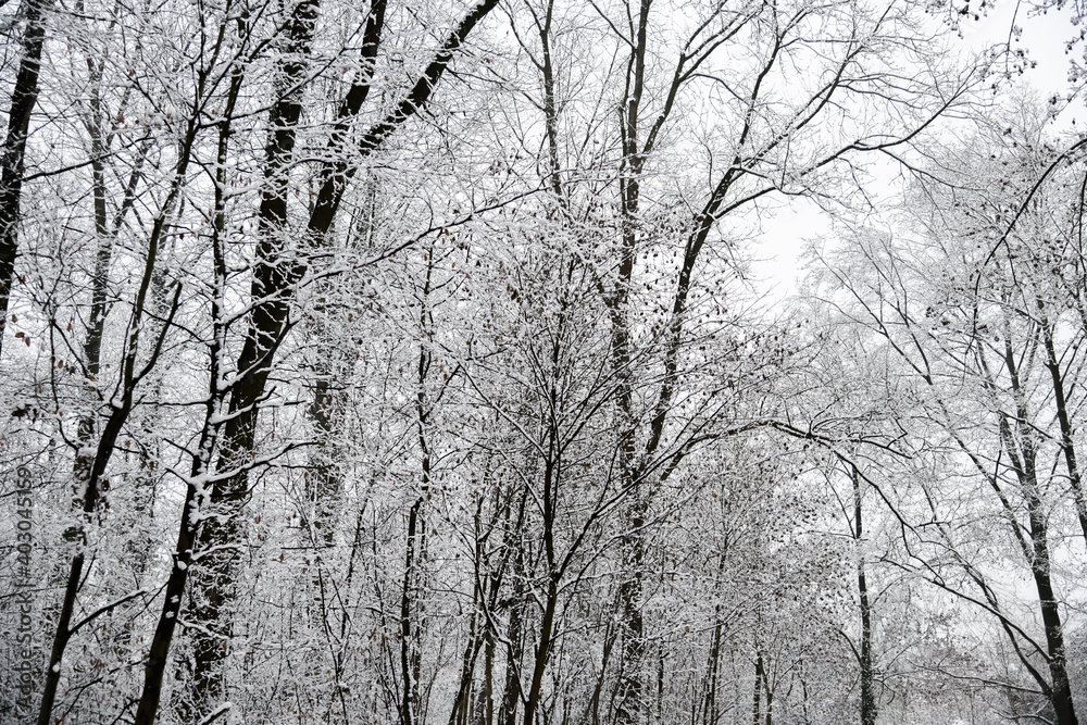 Schneelandschaften