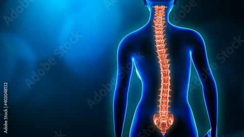 Photography Curvature of the spine and woman body back view 3D rendering illustration with copy space