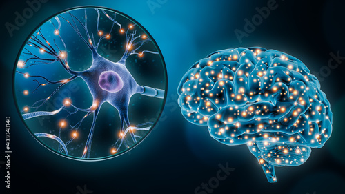 Human brain neuronal stimulation or activity with the close-up of a neuron cell 3D rendering illustration. Neuroscience, neurology, medicine, science, cognition, intelligence, psychology concepts.
