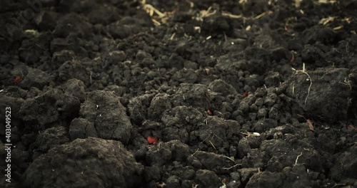 Wallpaper Mural Plowed soil cooked for winter. Agricultural land works Torontodigital.ca
