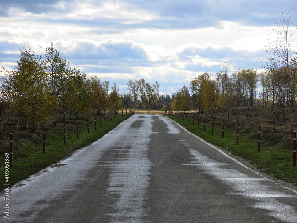 asphalt road with a wet surface in the province in autumn