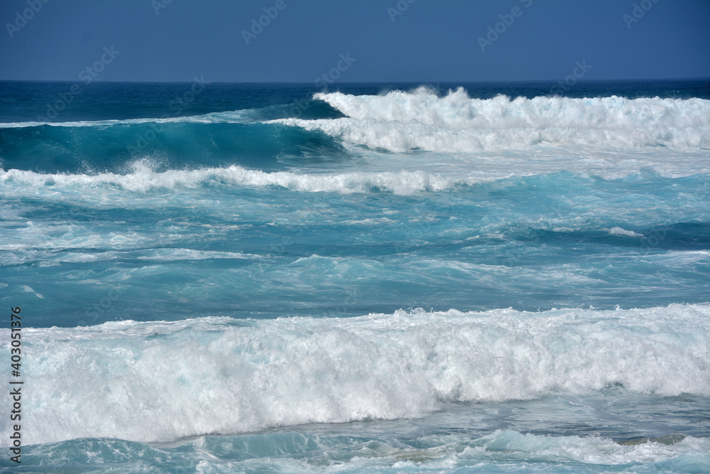 Winter waves on the north coast of Oahu Hawaii