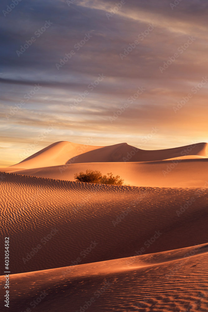 view of nice sands dunes during sunset at Sands Dunes National Park
