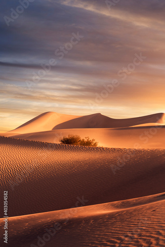 view of nice sands dunes during sunset at Sands Dunes National Park